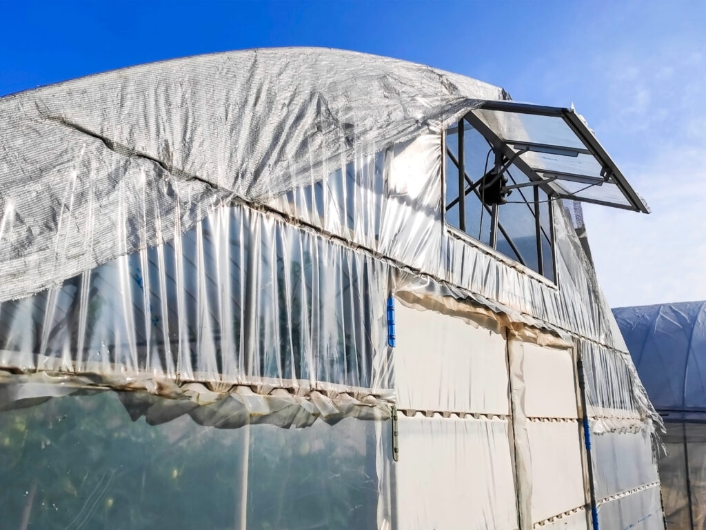 イチゴ栽培ハウスの高温対策