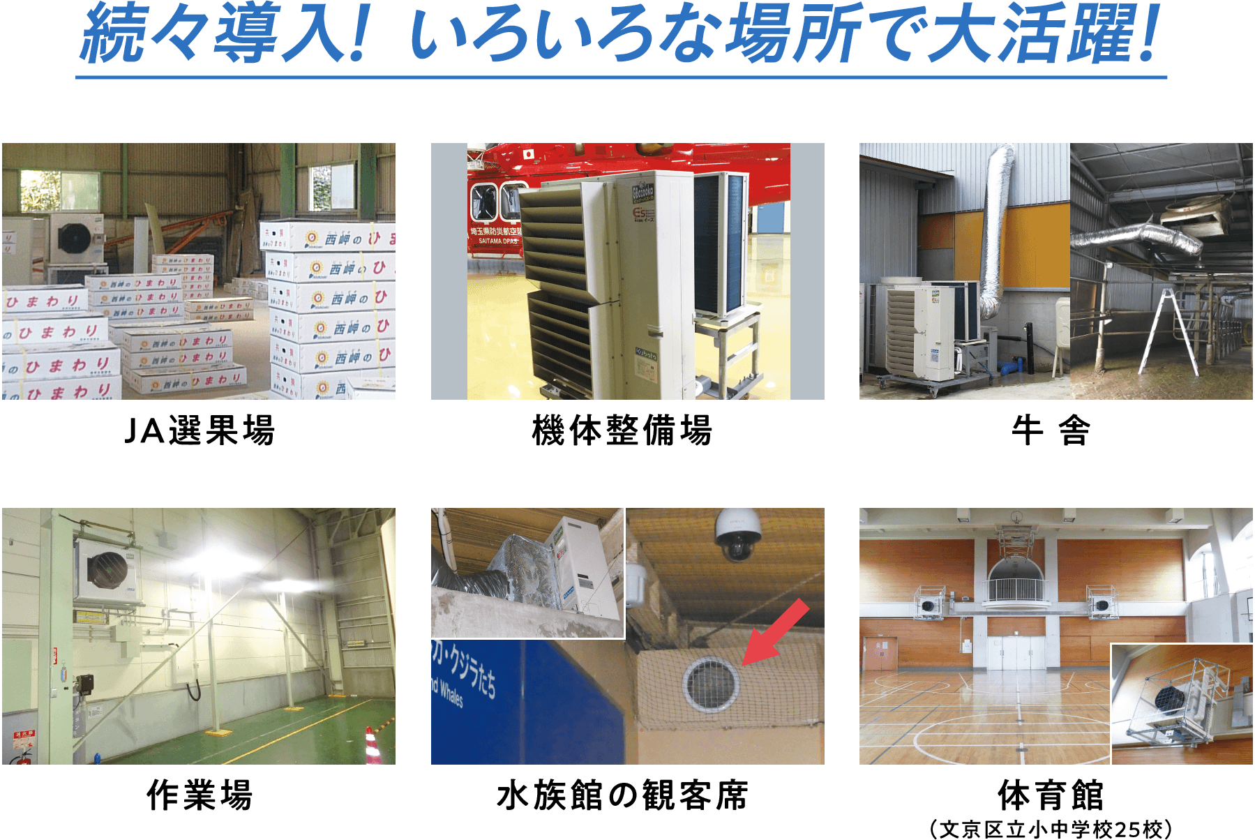 続々導入!いろいろな場所で大活躍!