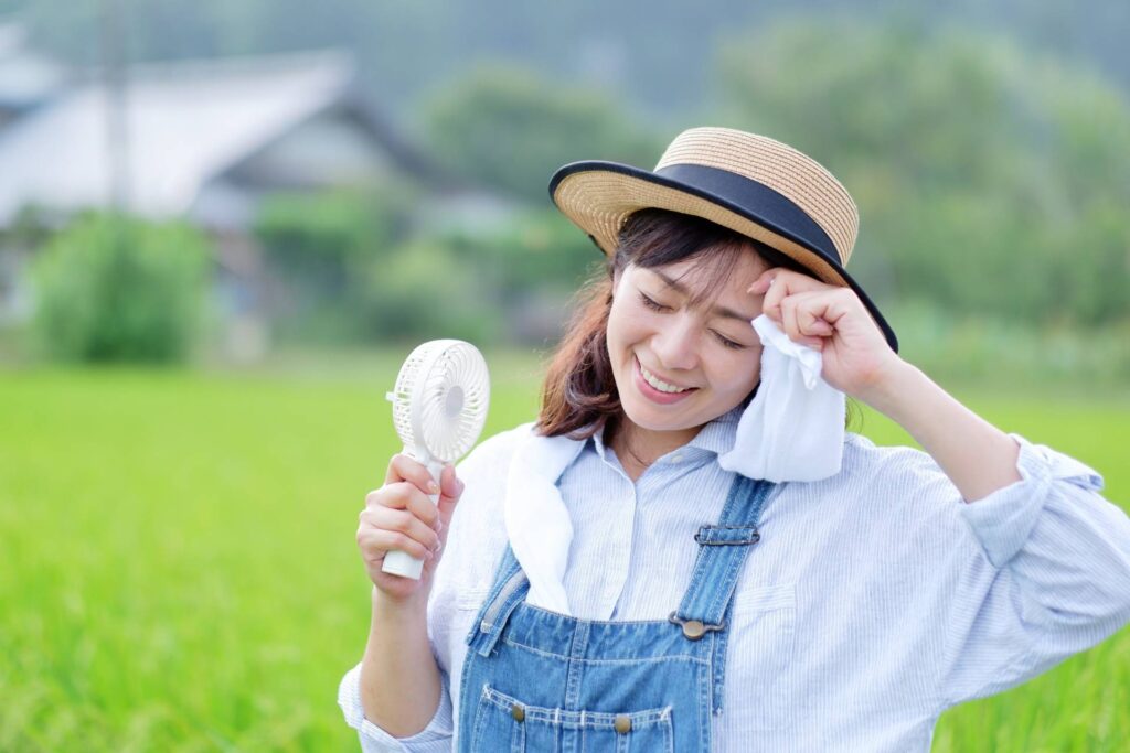 選果場の暑さ対策の基本
